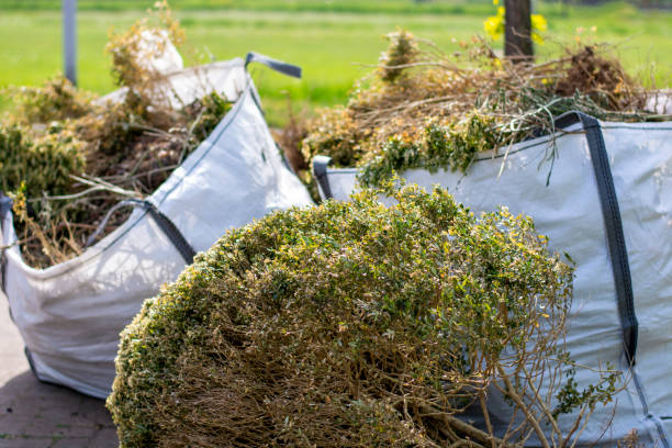 Best Junk Removal and Recycling  in New Albany, IN